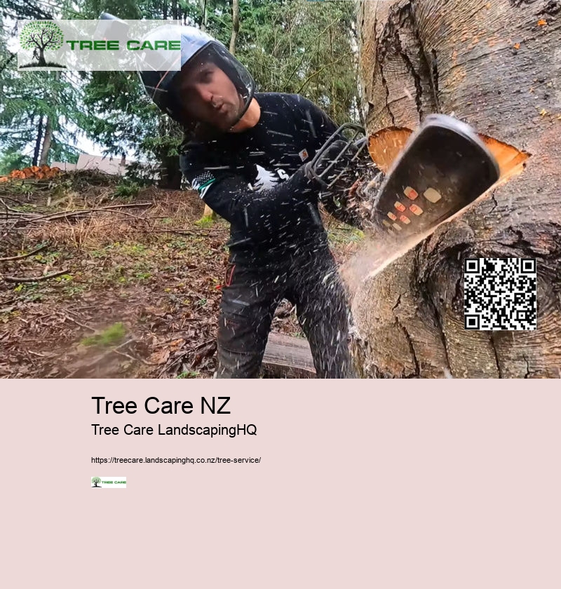 Tree Removal Auckland