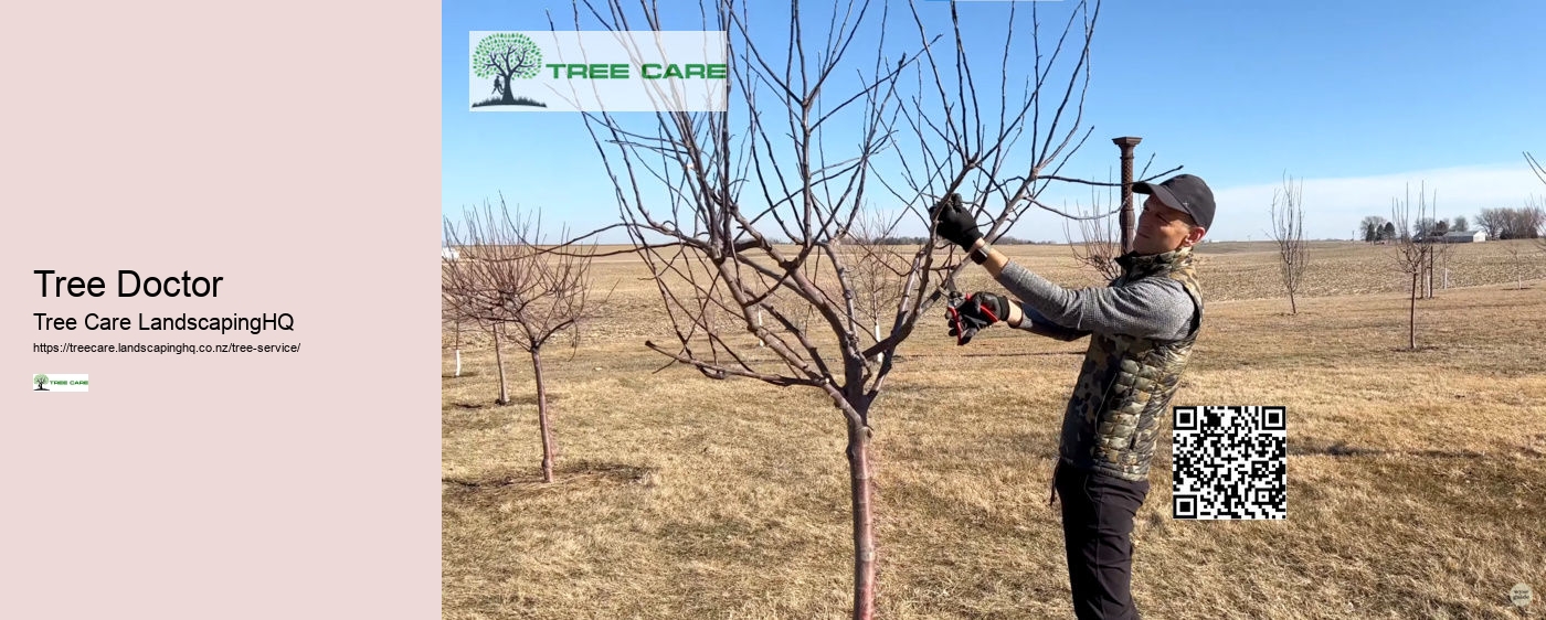 Tree Doctor