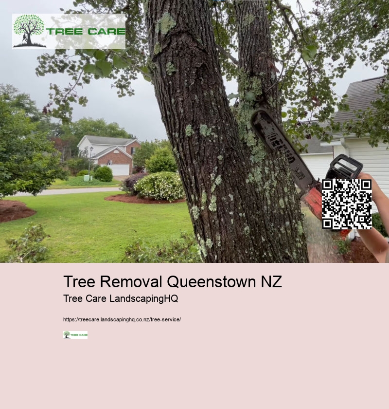 Arborist Company New Zealand