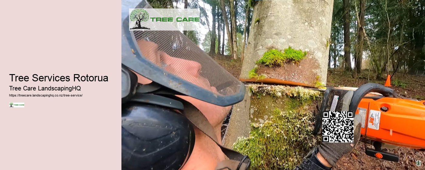 Tree Services Rotorua