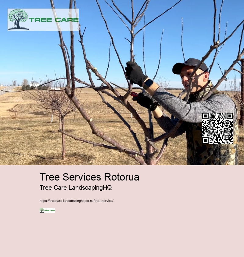 Tree Pruning Hamilton NZ