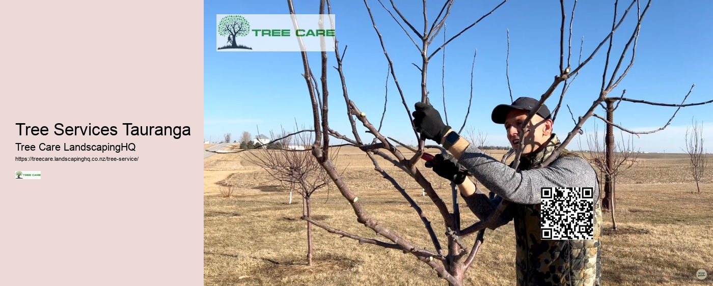 Tree Services Tauranga