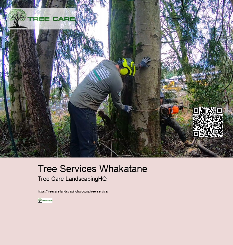 Tree Services West Auckland