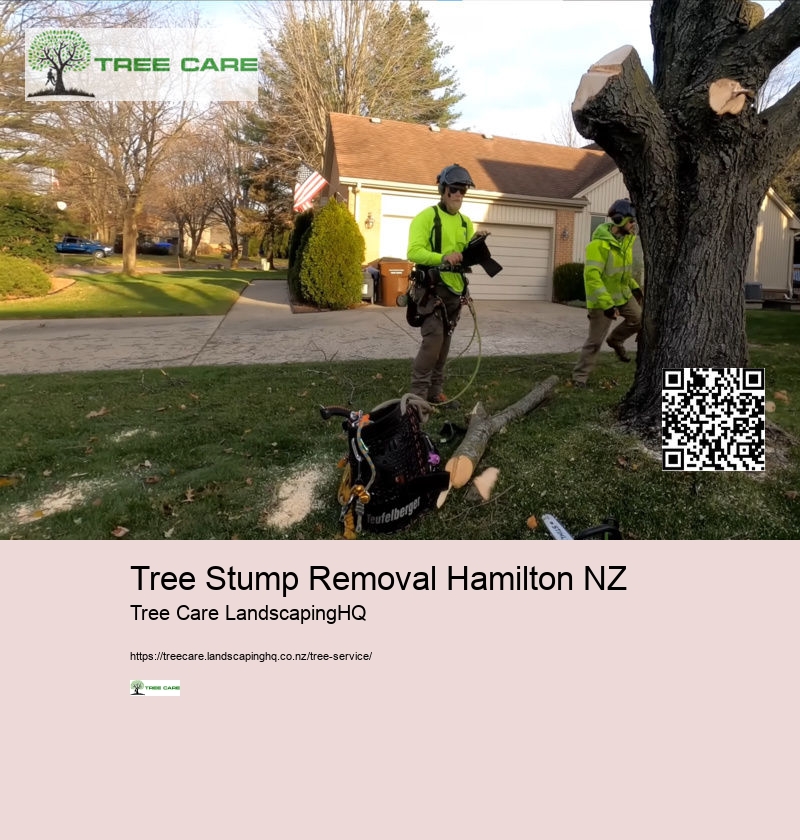 Magnolia Tree Care NZ