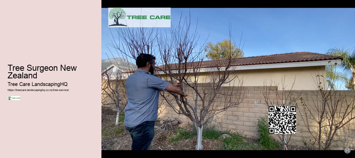 Tree Surgeon New Zealand