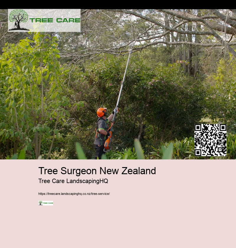 Stump Grinders NZ