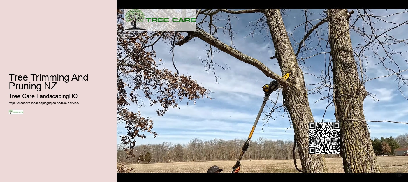 Tree Trimming And Pruning NZ