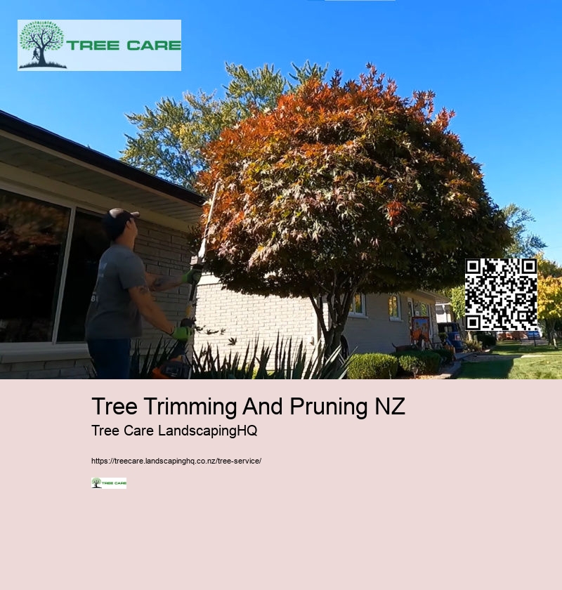 Best Arborist Near Me