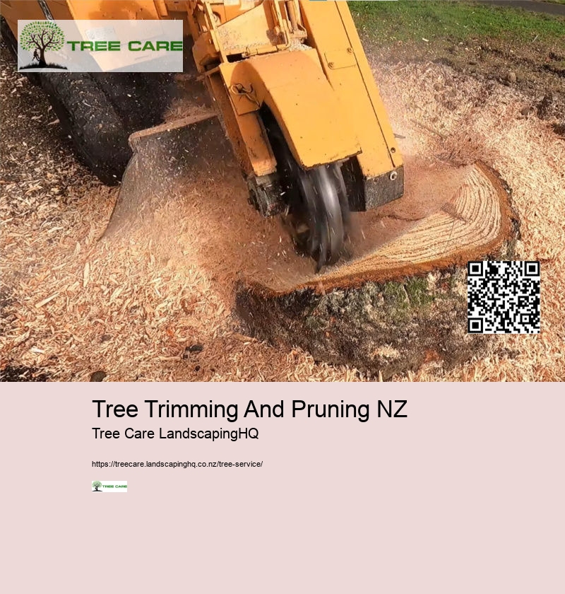 Stump Grinding Tauranga