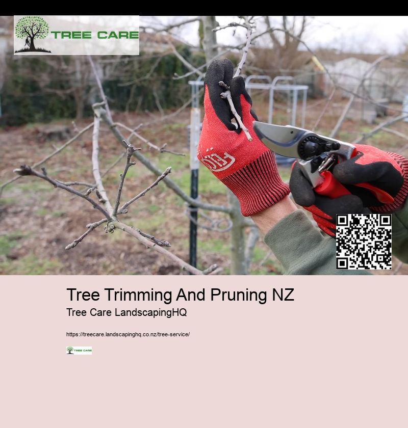 Arborist North Shore