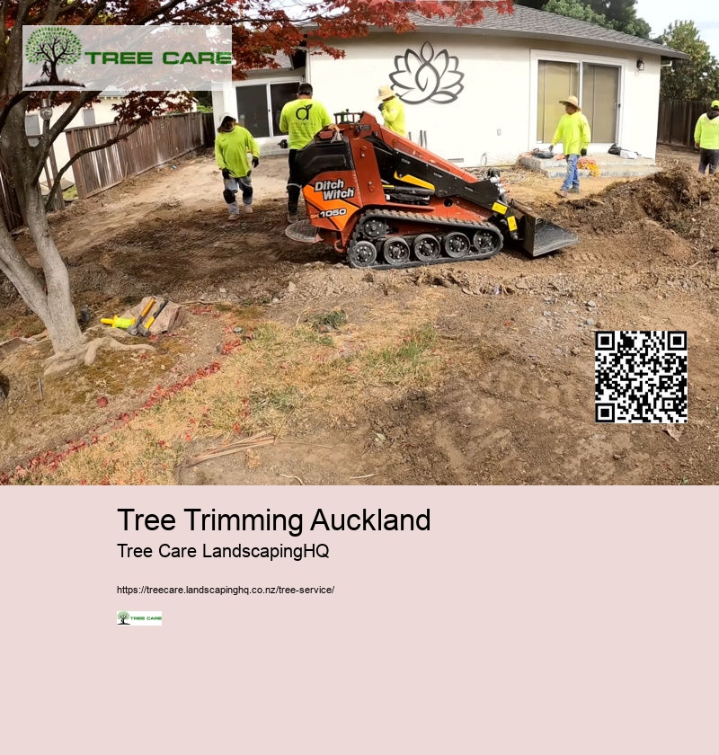 Stump Grinding Auckland