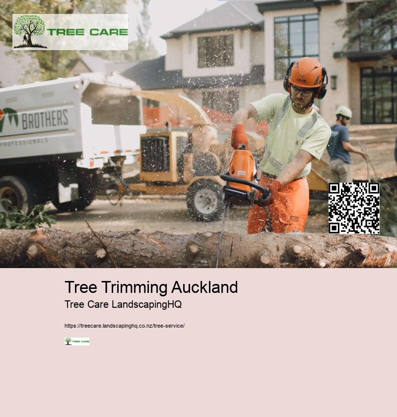 Arborist Mulch Christchurch