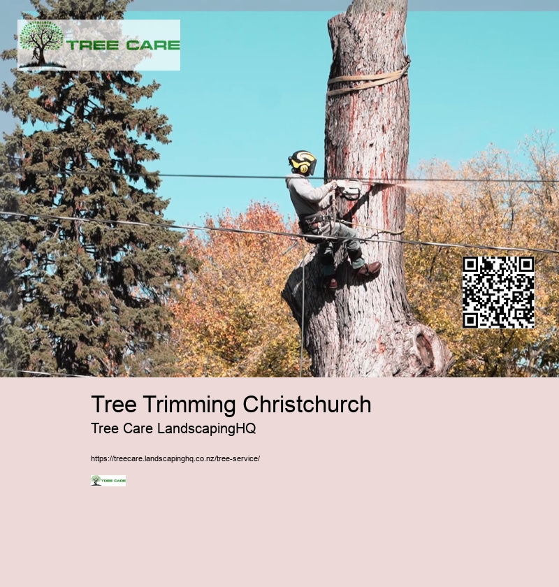 Dunedin Tree Care