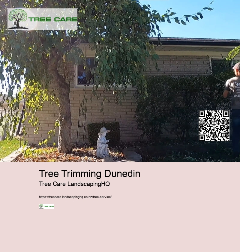 Tree Care Queenstown NZ