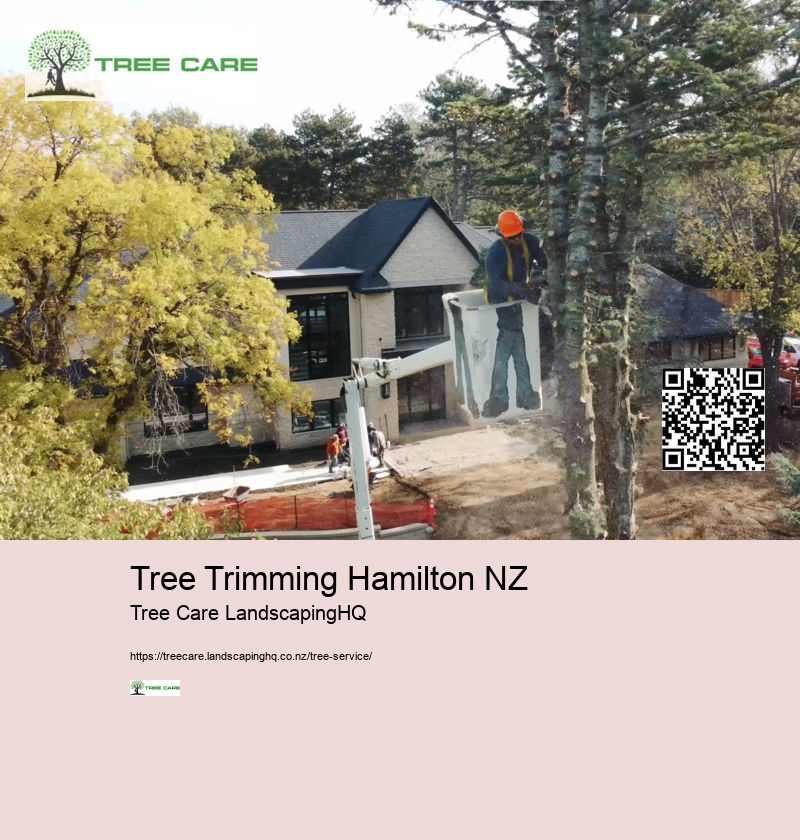 Tauranga Arborist