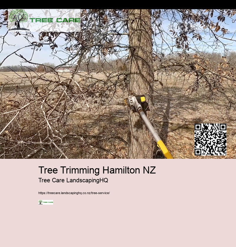 Arborist Hawkes Bay