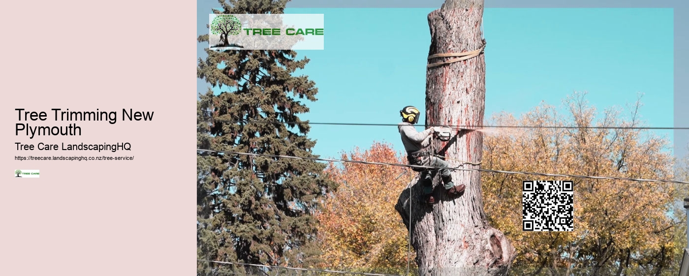 Tree Trimming New Plymouth