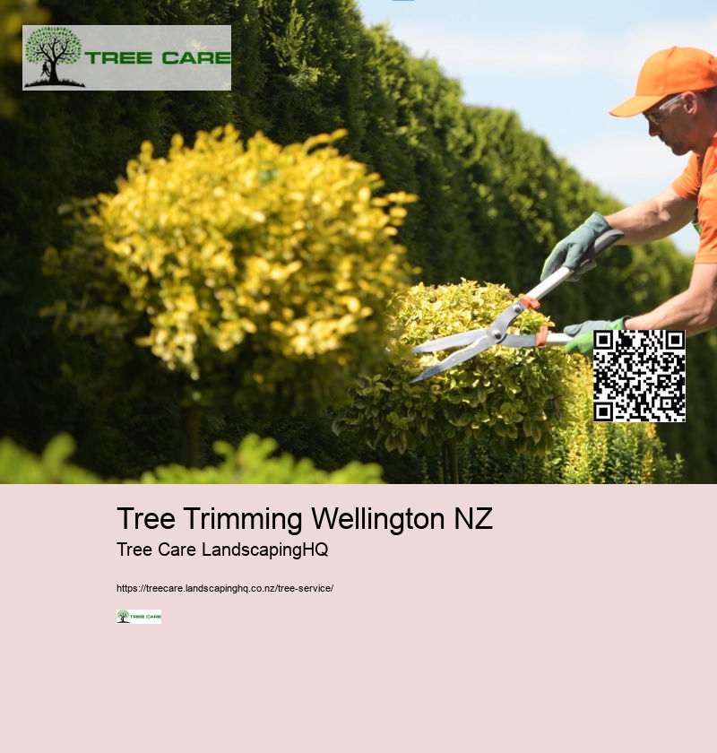 Arborist West Auckland