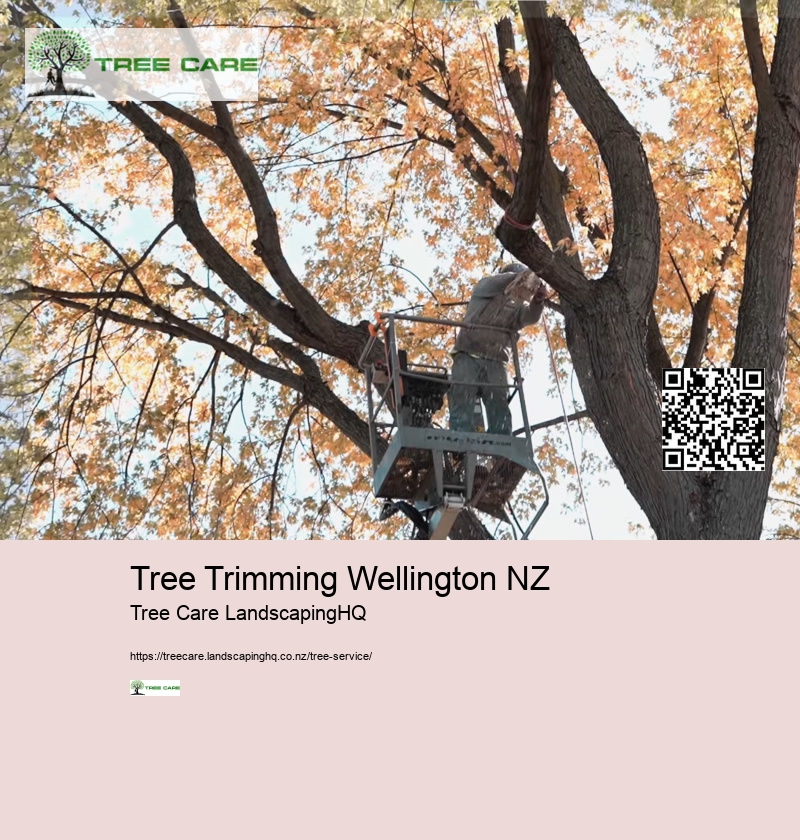 Arborist Hamilton New Zealand