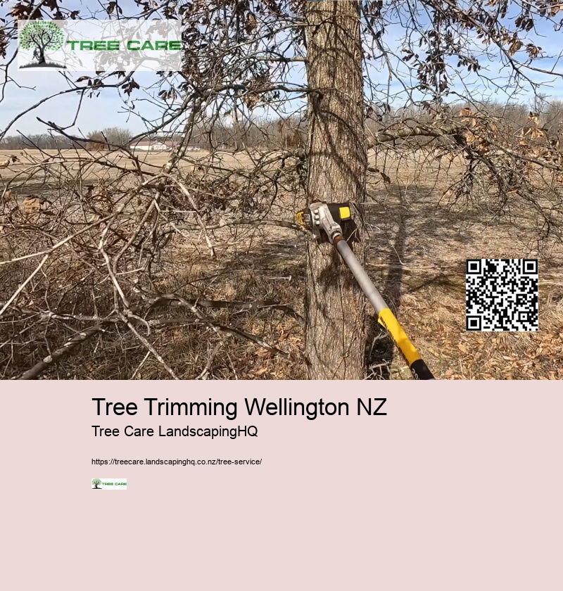 Arborist Hamilton New Zealand